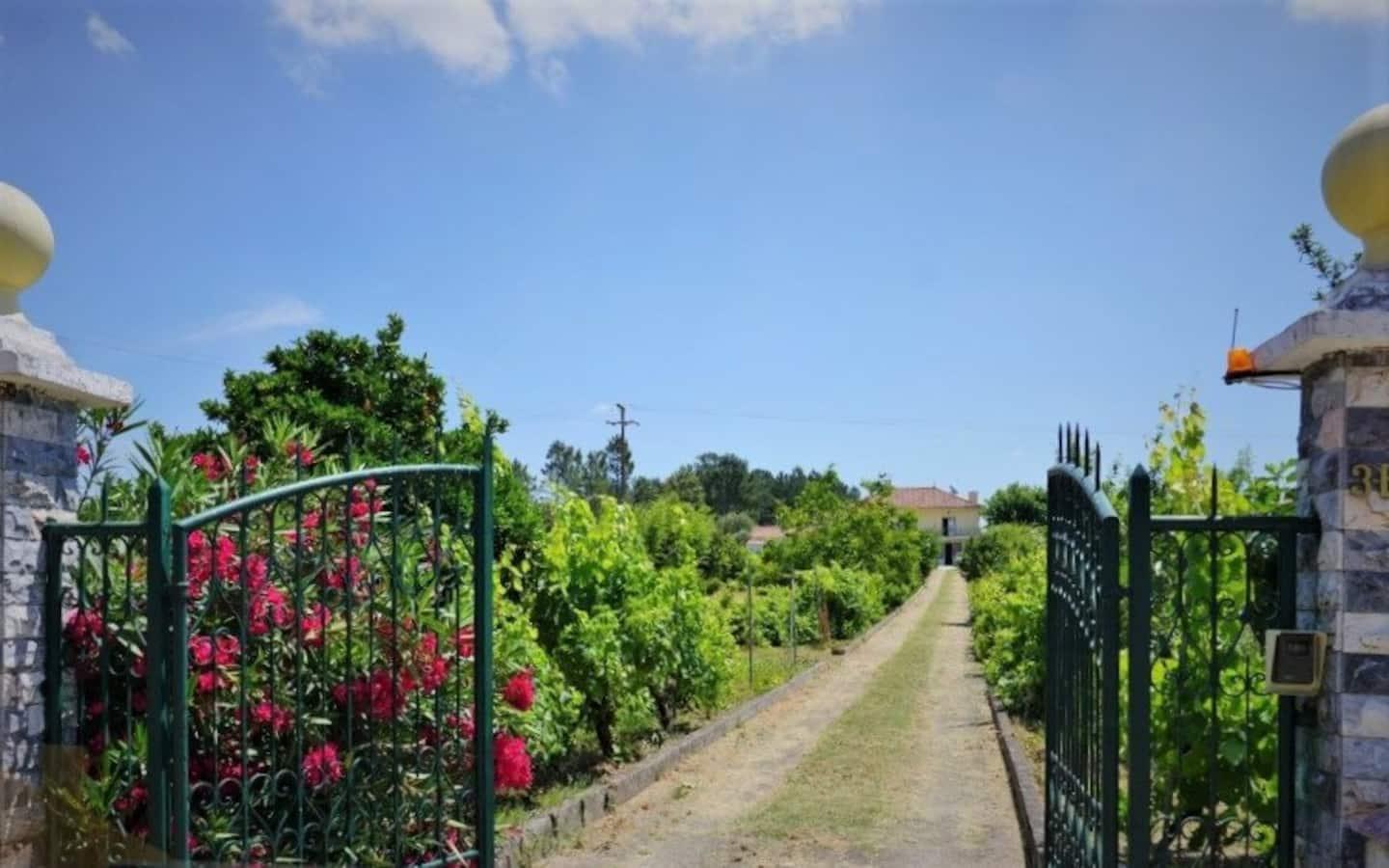 Casa Azul Tomar Prive Vakantiehuis 外观 照片