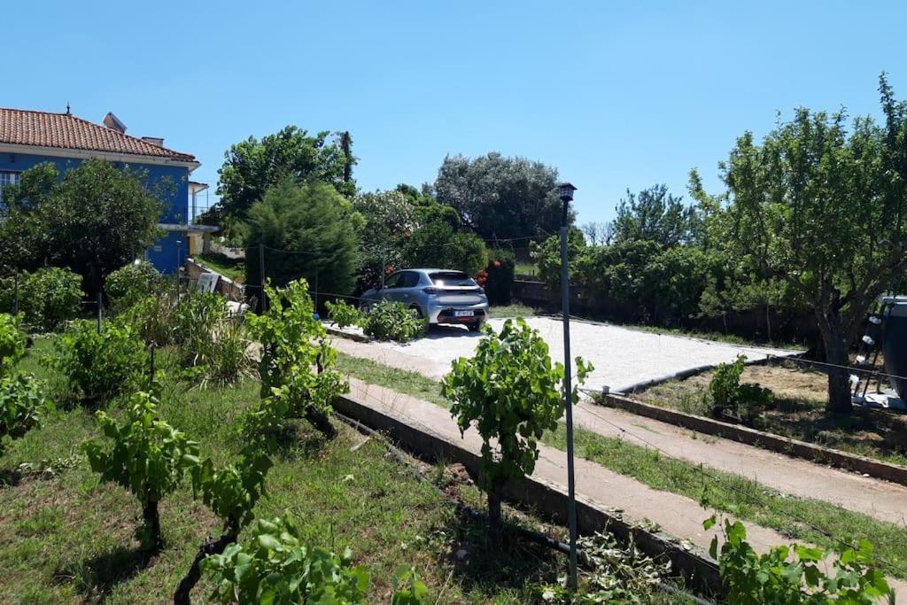 Casa Azul Tomar Prive Vakantiehuis 外观 照片