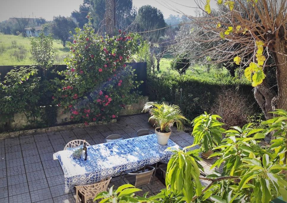 Casa Azul Tomar Prive Vakantiehuis 外观 照片